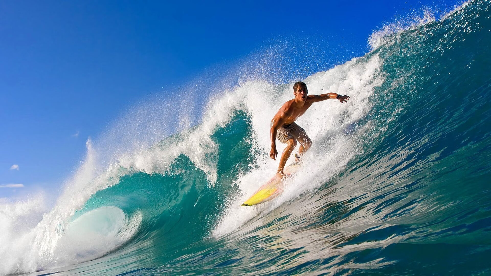 城市街区“屋顶花园晨练赛” 社区花园变身迷你健身房